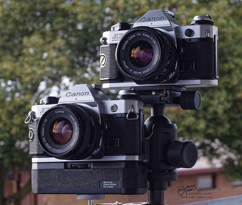 2 Canon AE-1 Programs w/ Canon FDn 50mm f/1.8 - LumiWorx